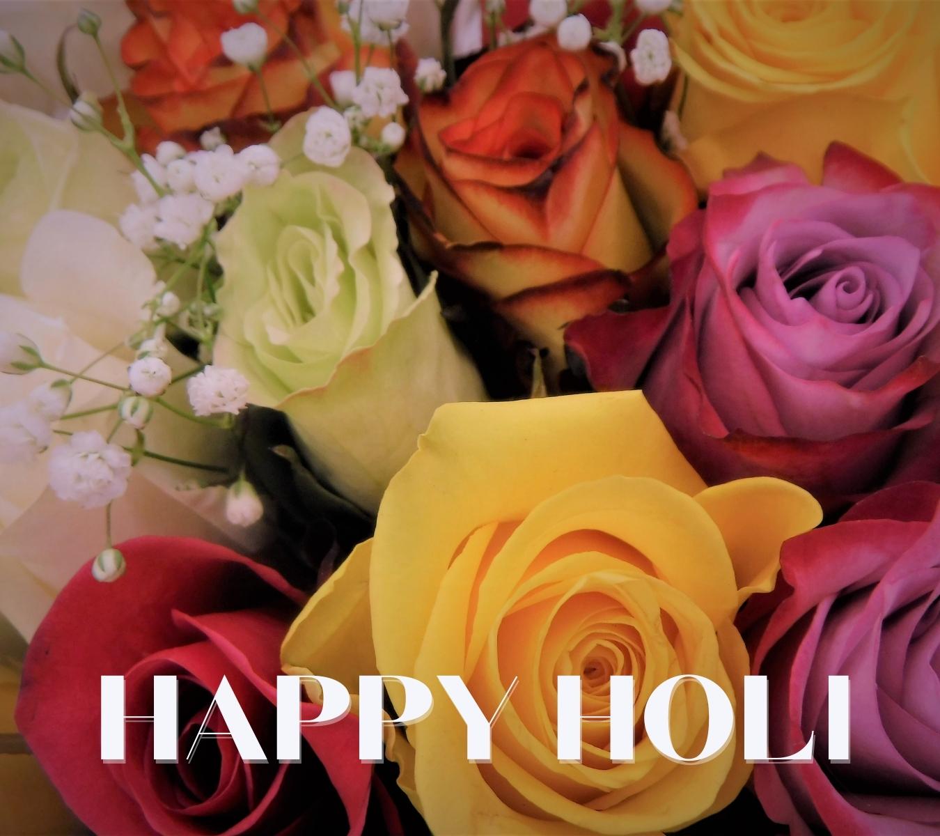 happy holi hd pictures with rose download