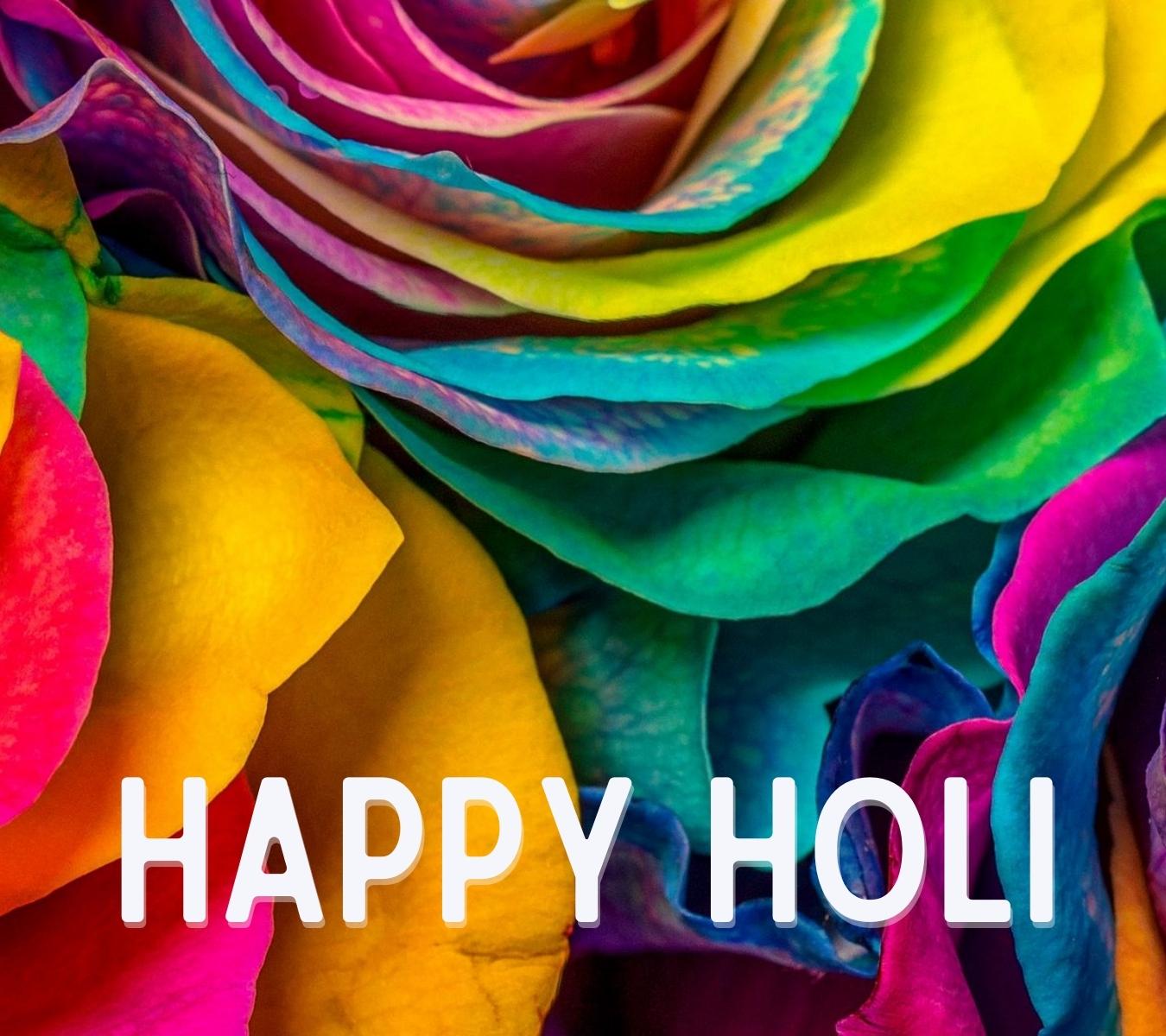 happy holi hd image with rose download for whatsapp