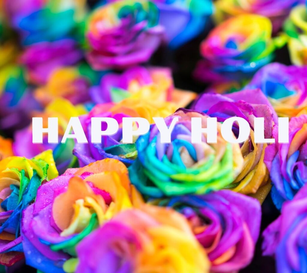 Holi 2024 Happy Holi HD Images With Rose Download Free