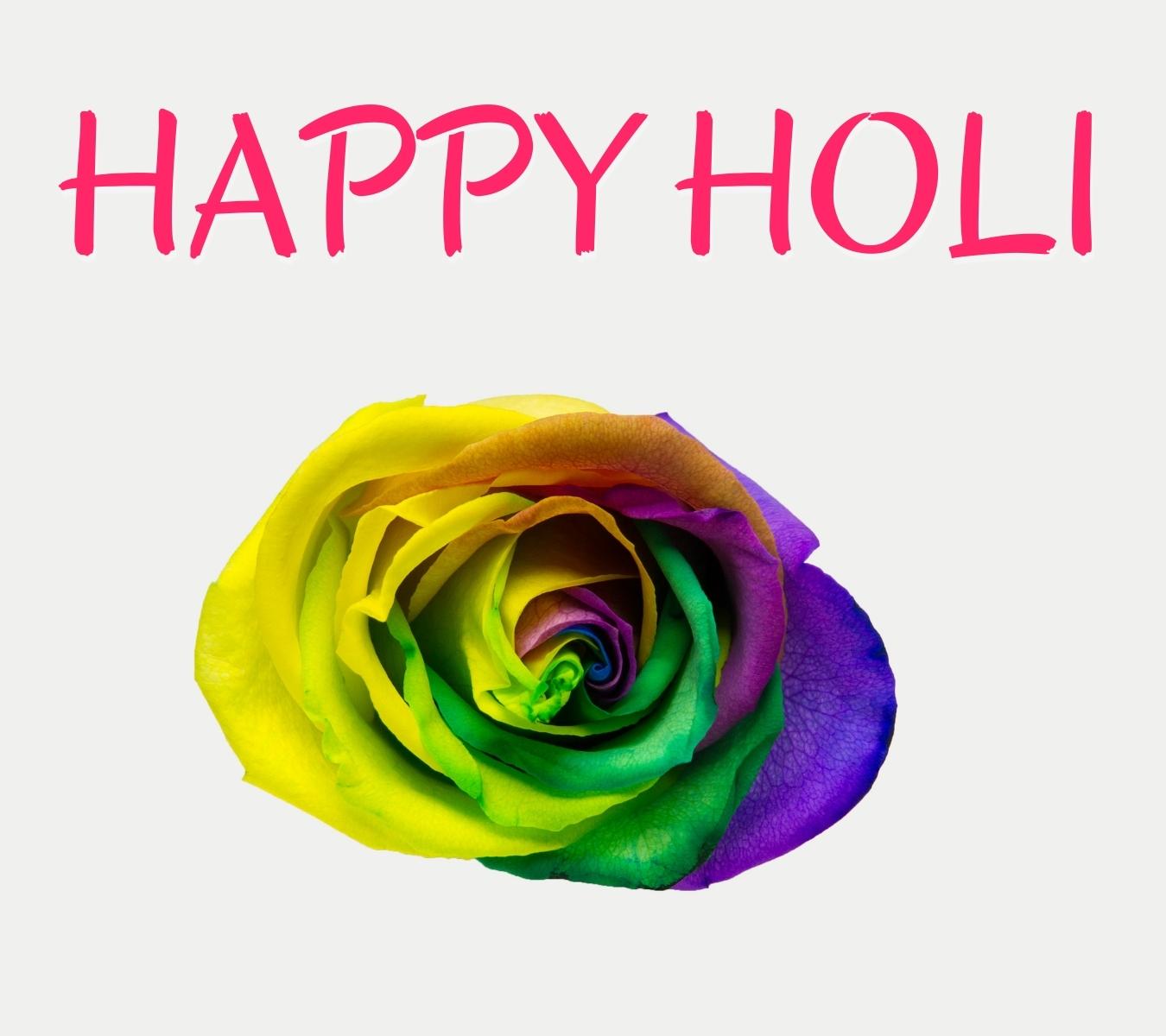 happy holi hd photo with rose download for facebook