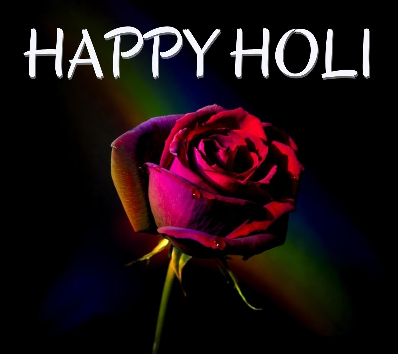 happy holi hd pic with rose download